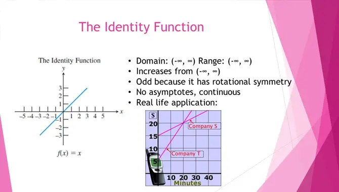 Basic Functions Of Domain