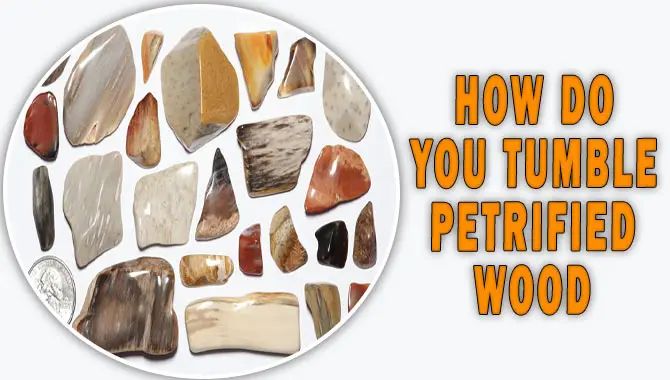 How Do You Tumble Petrified Wood