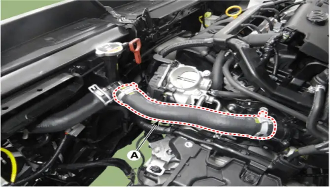 Disconnect Hoses From The Cylinder Head