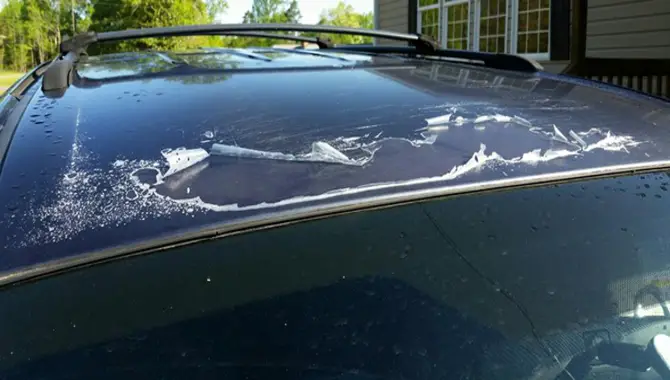 7 Steps To Fix Peeling Clear Coat Quickly And Easily