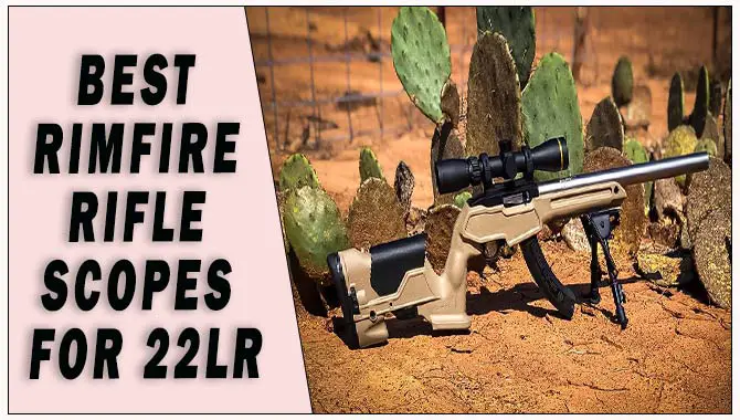 Best Rimfire Rifle Scopes For .22lr