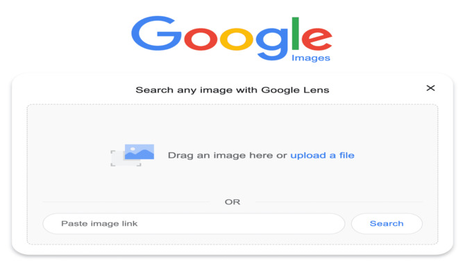 Perform A Reverse Image Search