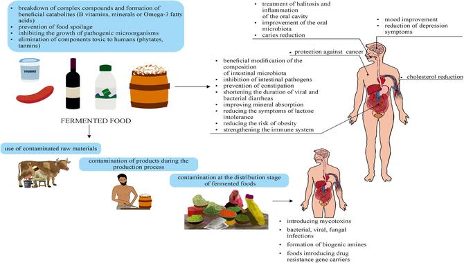 Potential Health Benefits Of Fermented Food