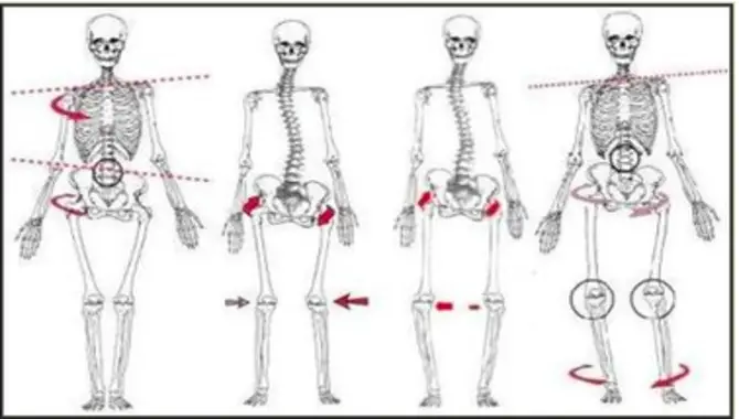 The Importance Of Posture And Body Alignment
