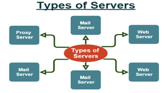 What Are The Different Types Of Servers?