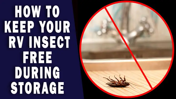 How To Keep Your RV Insect-Free During Storage