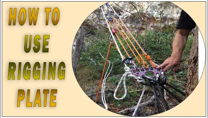 How To Use Rigging Plate For The Climbing Tree