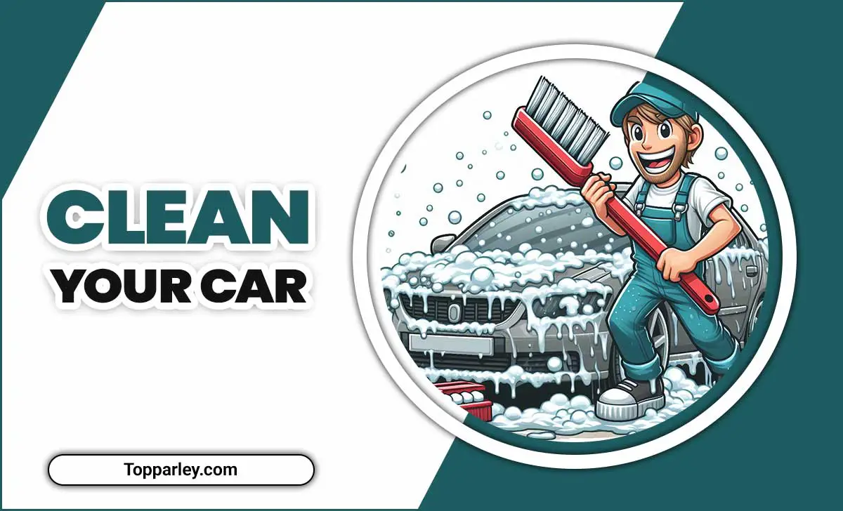 Supplies You Need To Clean Your Car
