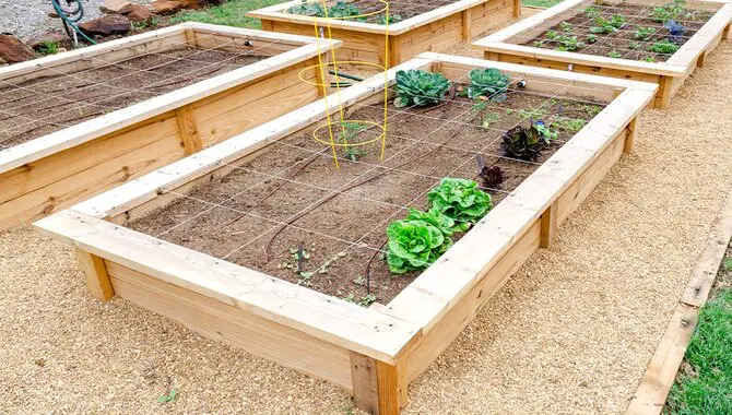 5 Ways How To Build A Raised Garden Bed