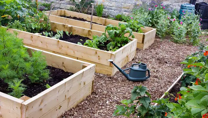 Benefits Of Building A Raised Garden Bed